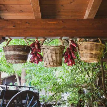 Interno trattoria 03 |Trattoria al fornello