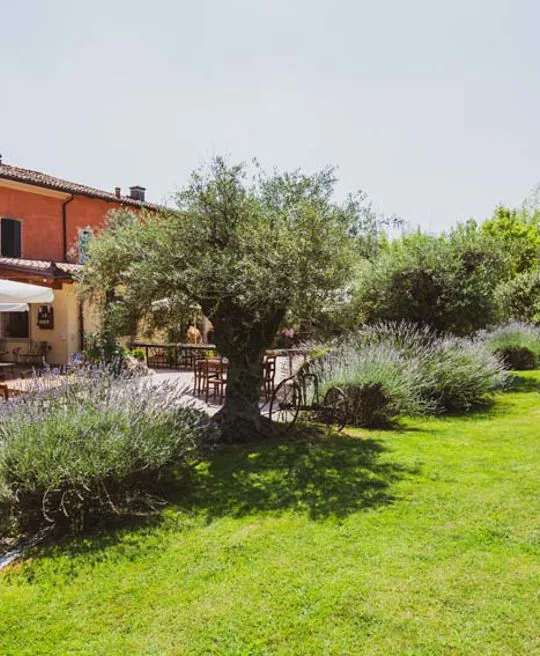 La trattoria | Trattoria al fornello